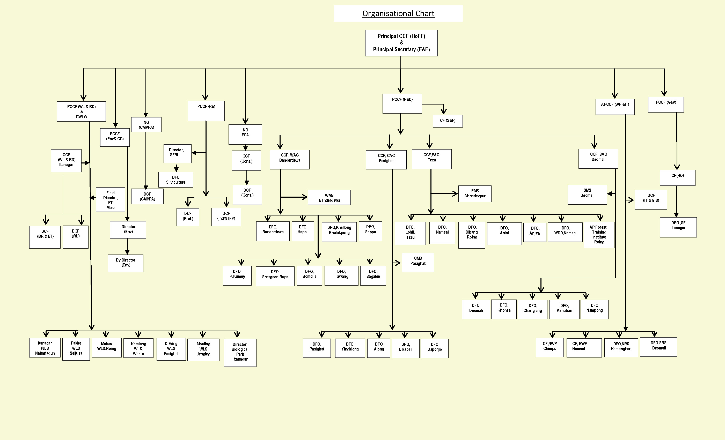 Organization Structure