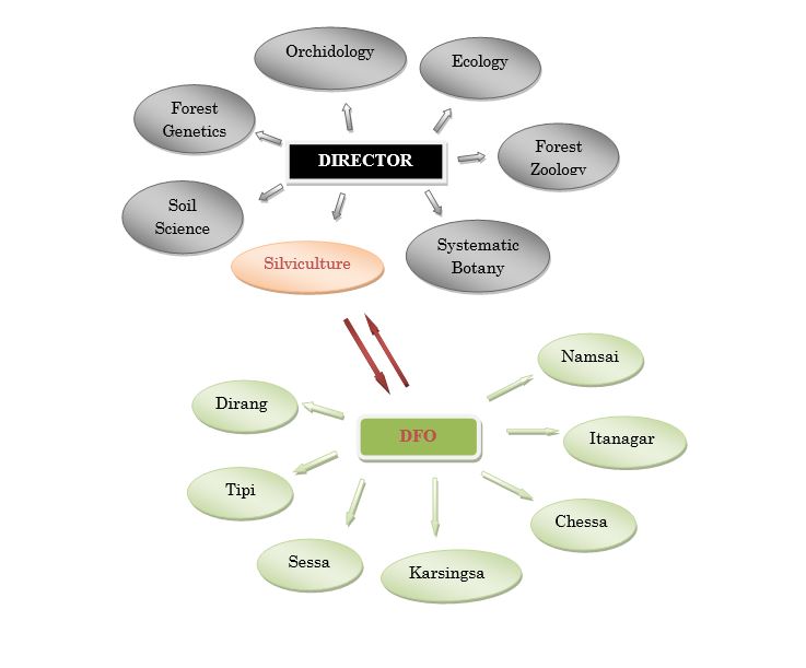 Organization Chart